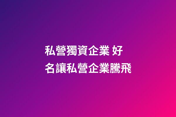 私營獨資企業 好名讓私營企業騰飛-第1張-公司起名-玄機派